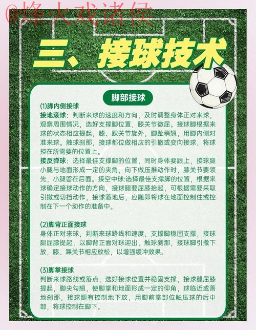 世界杯滚球官网最佳体验指南